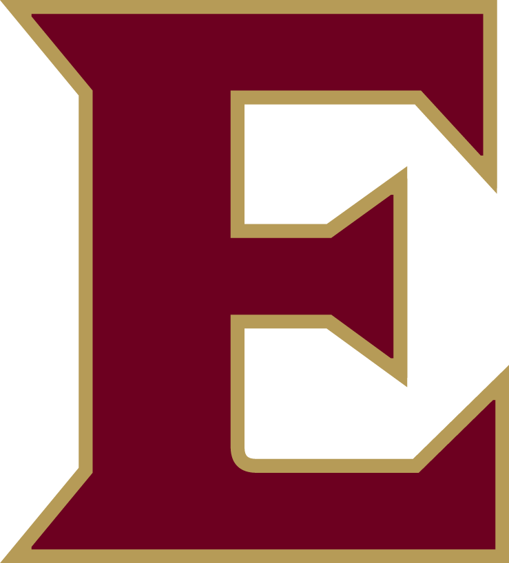 Elon Phoenix 2016-Pres Alternate Logo diy DTF decal sticker